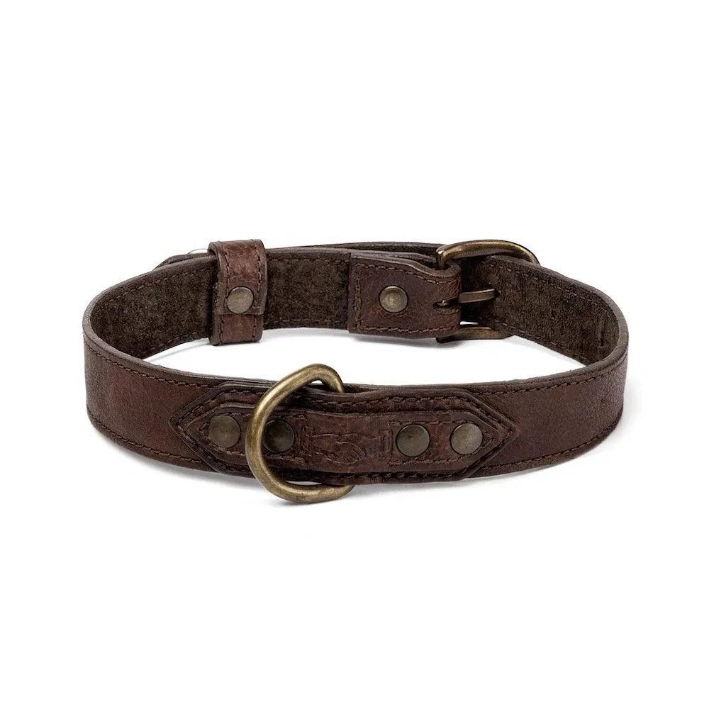 Campaign Leather Dog Collar