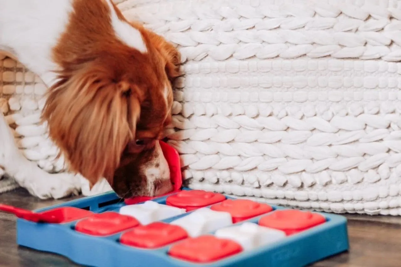 Dog Brick Puzzle