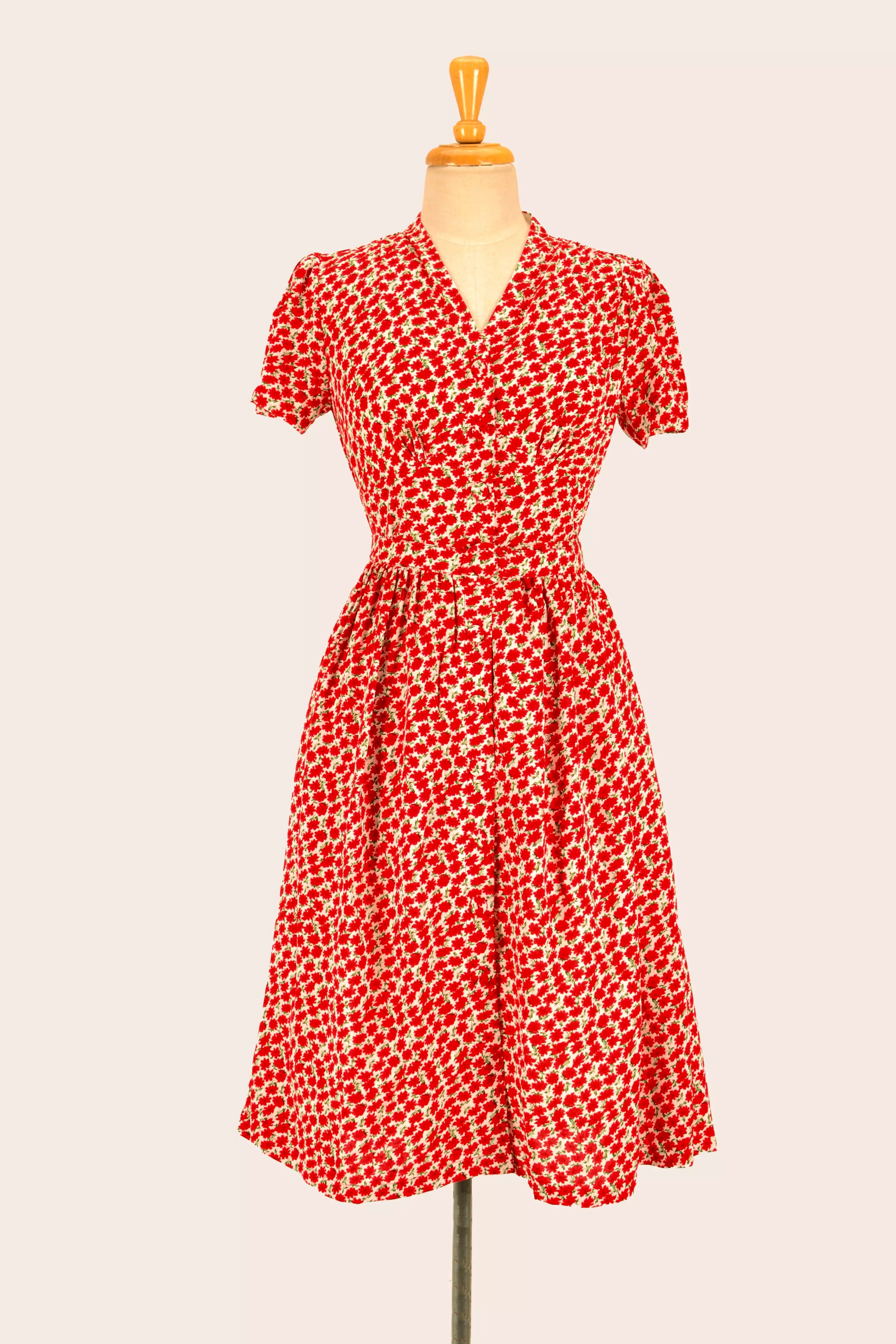 Jenny Red Carnation Floral Dress