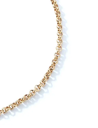 Transitional Belcher Chain with Spinning Dog Clip and Removable Charm Ring