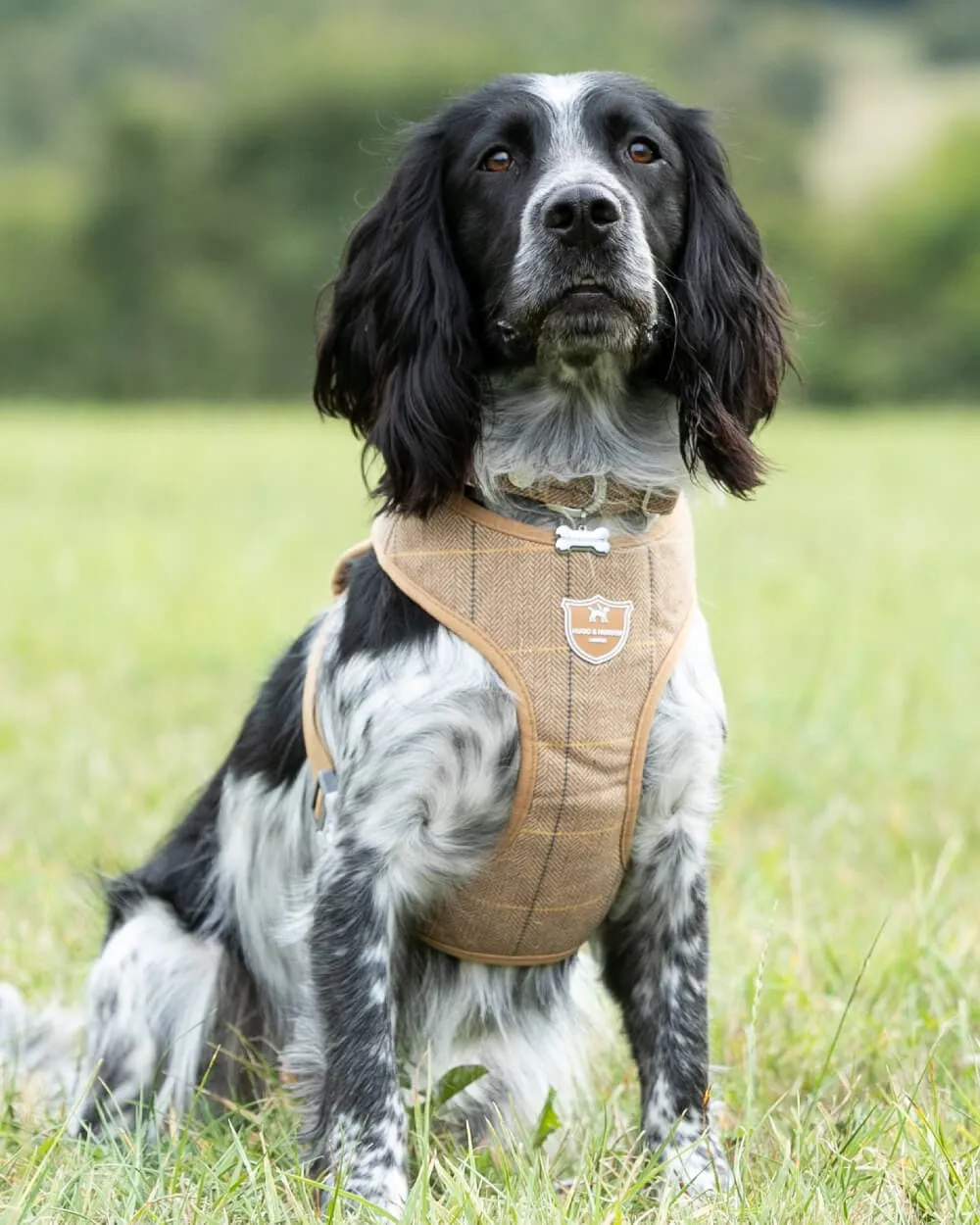 Tweed Dog Harness - Caramel Checked Herringbone