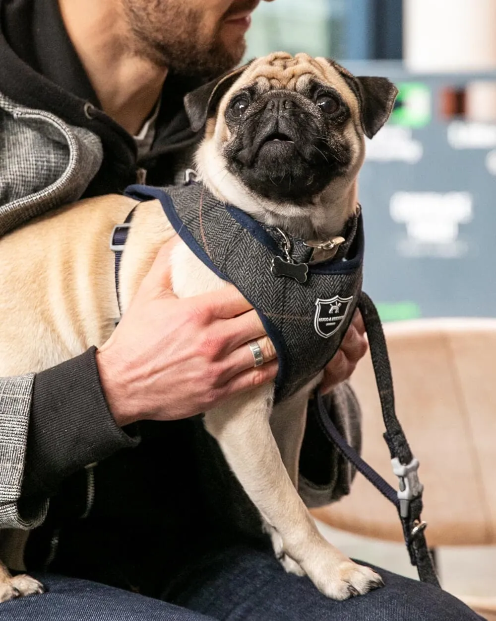 Tweed Dog Harness - Grey Checked Herringbone